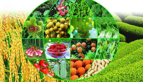 工廠停產下的農業機遇 蔬菜產業能否迎來大發展？