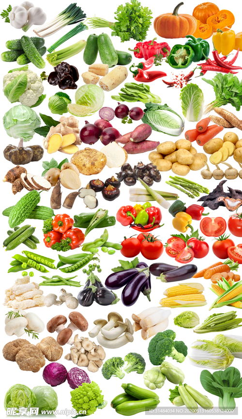 高清多款蔬菜免摳圖片設計圖 賦能創意與效率的視覺素材