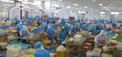 拓市場穩訂單，我國蔬菜出口逐步回暖